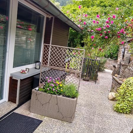Ferienwohnung Lavendel Кохем Екстериор снимка