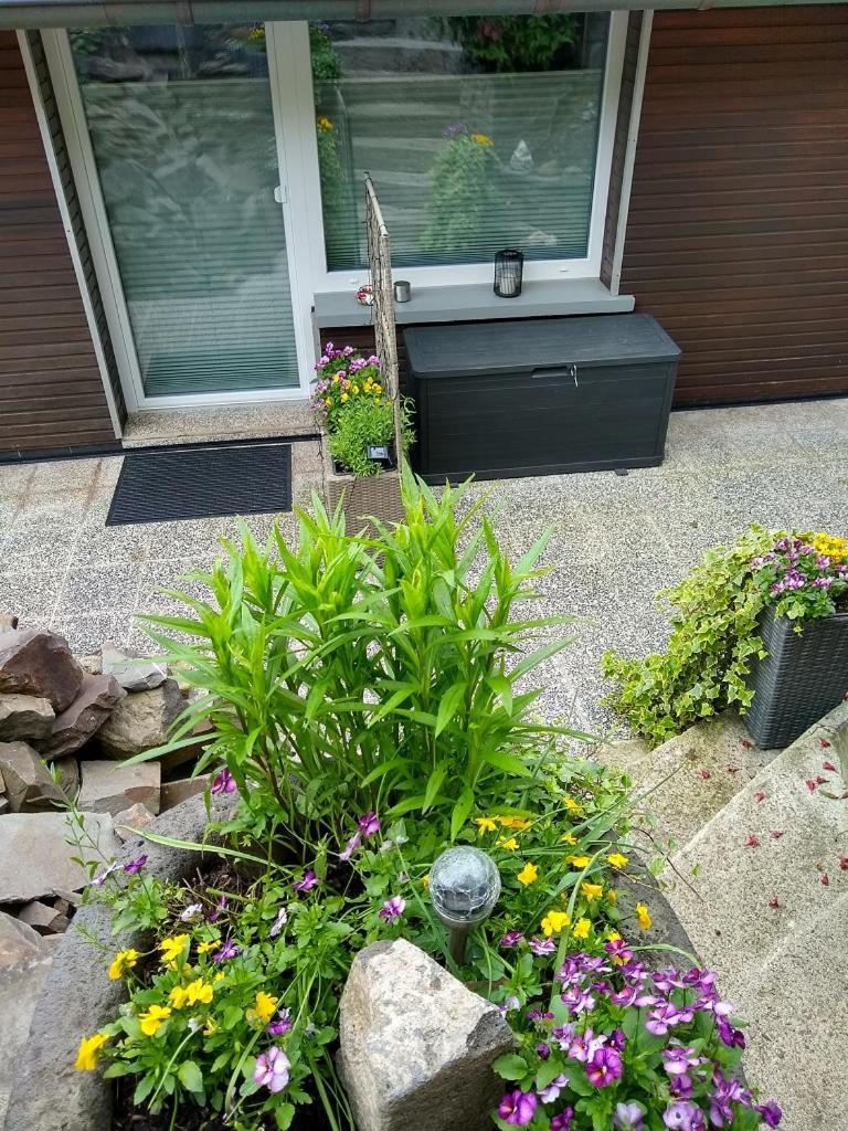 Ferienwohnung Lavendel Кохем Екстериор снимка